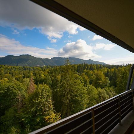 Elexus Apartments ポイアナ・ブラショフ エクステリア 写真