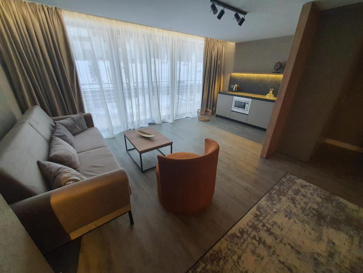 Elexus Apartments ポイアナ・ブラショフ エクステリア 写真
