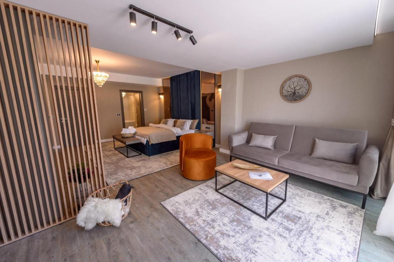Elexus Apartments ポイアナ・ブラショフ エクステリア 写真